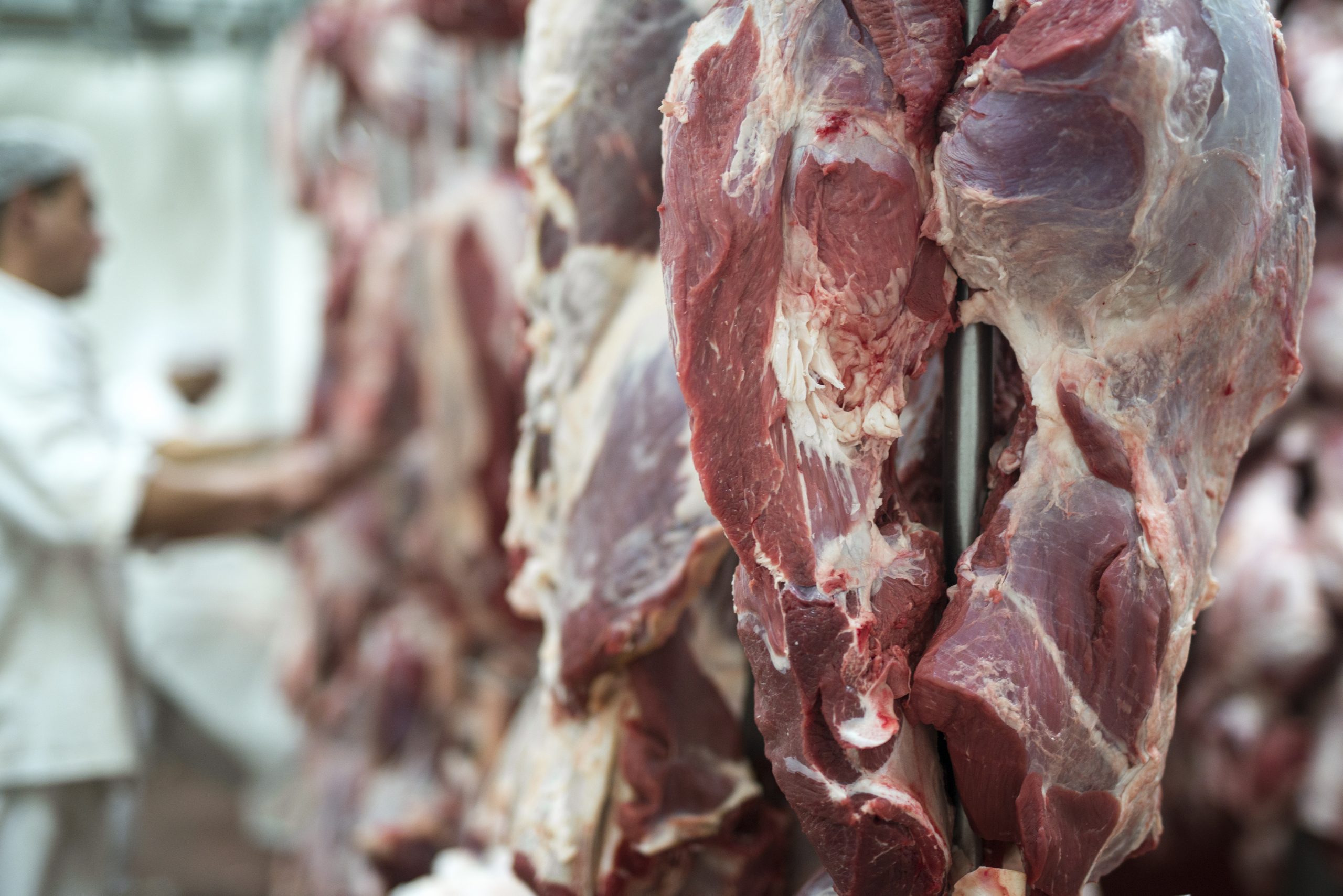 Read more about the article Carne bovina: exportação em maio supera US$ 1 bi, 50% a mais que em maio de 2021