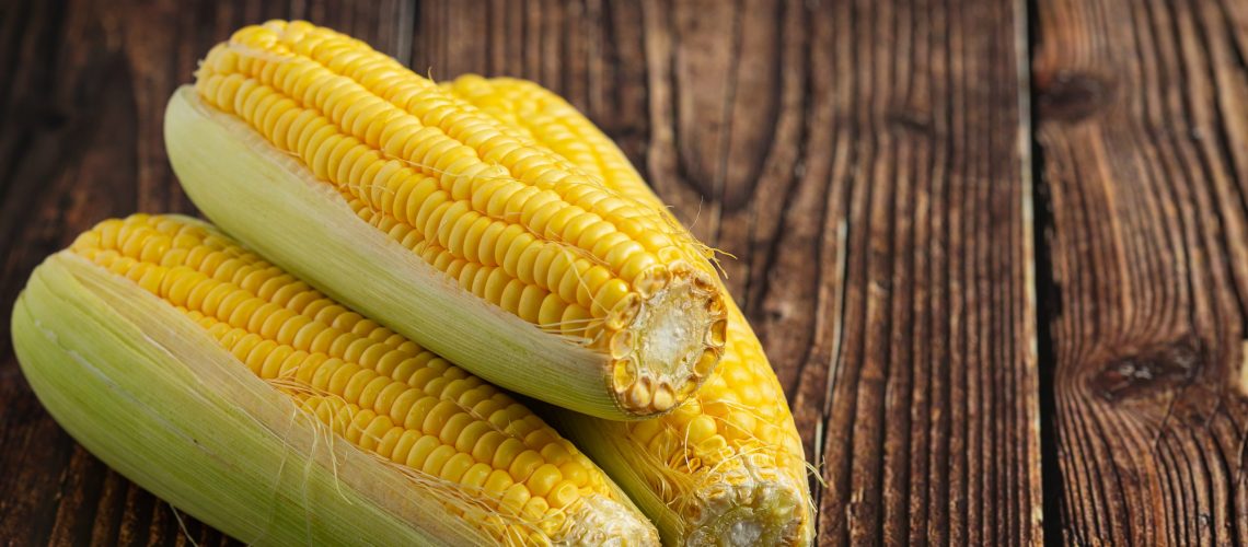 fresh corn ready to eat